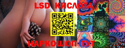 СК Краснознаменск
