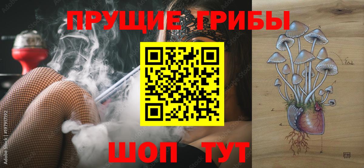 Псилоцибиновые грибы ЛСД Волгодонск