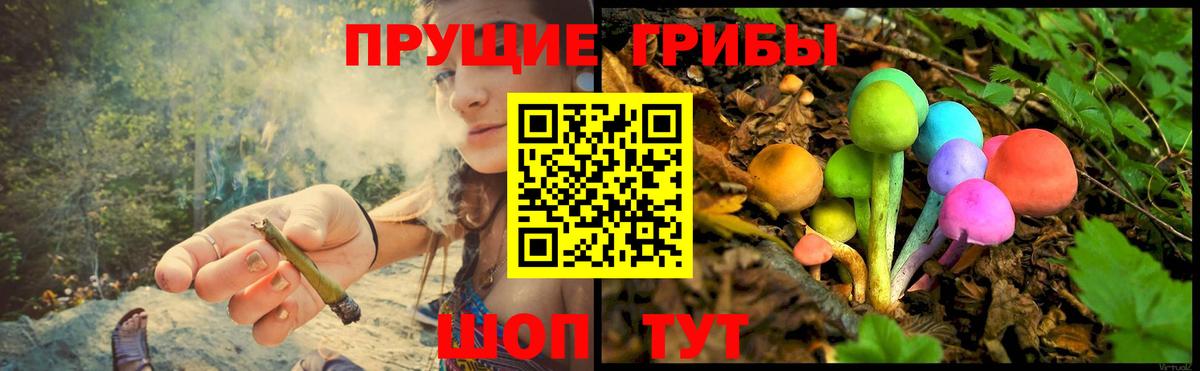 что такое   Вход с VPN  Волгодонск  Псилоцибиновые грибы Psilocybine cubensis 